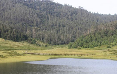 Mannavanur Lake Kodaikanal