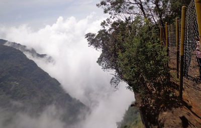 Silent Valley View Kodaikanal