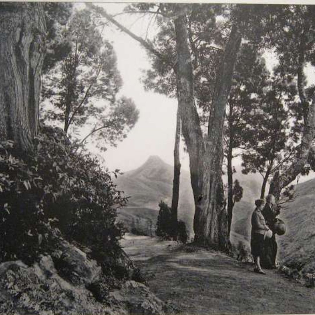 Antique Kodaikanal attractions