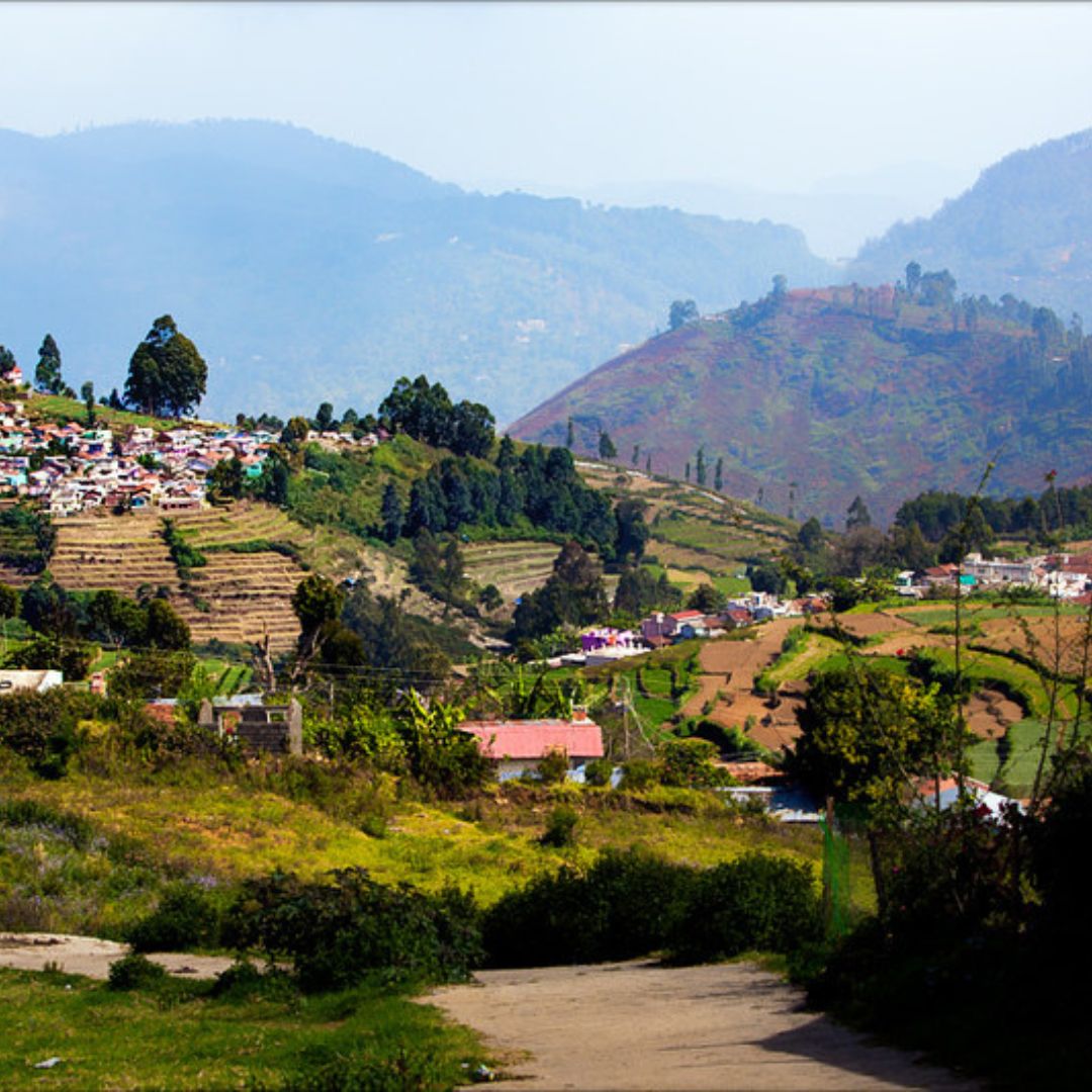 Vilpatti
